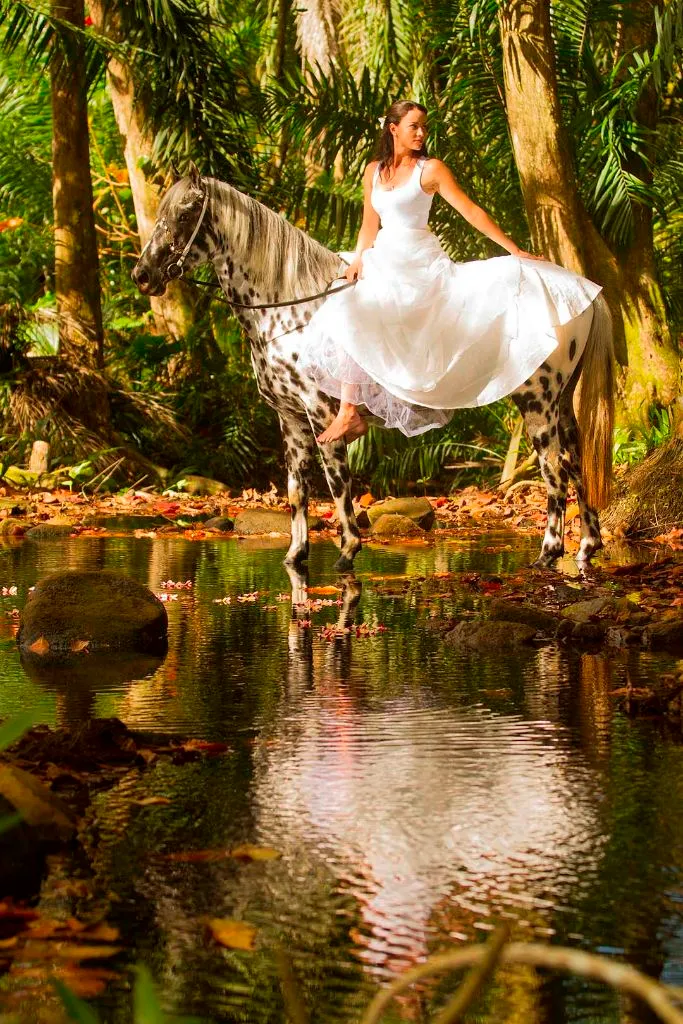 Wedding horse photo shoot