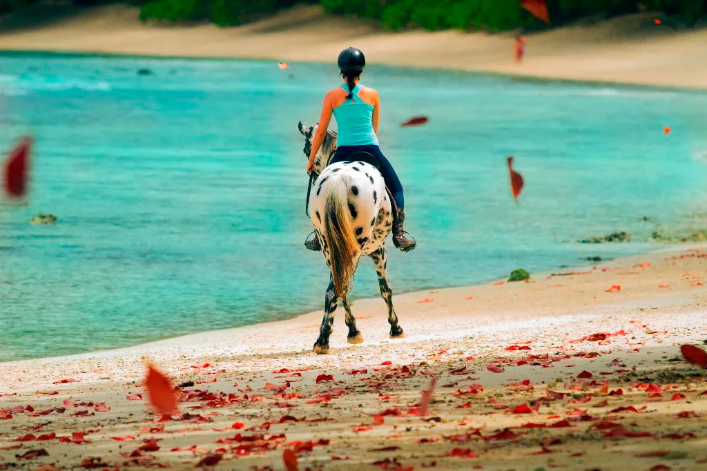 Horse riding on the beach